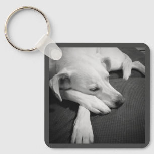 Black and White Photo of a Beautiful Dog Sleeping Keychain