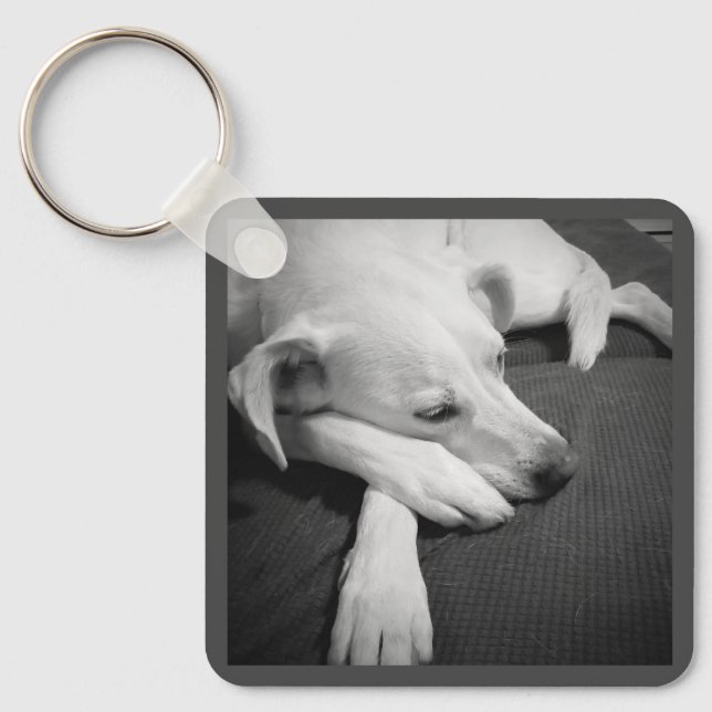 Black and White Photo of a Beautiful Dog Sleeping Keychain (Front)