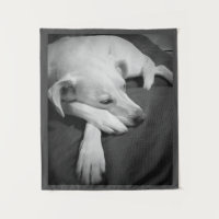 Black and White Photo of a Beautiful Dog Sleeping