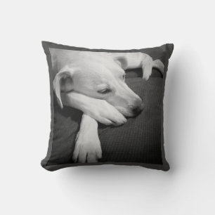 Black and White Photo of a Beautiful Dog Sleeping Throw Pillow