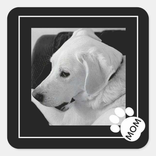 Black and White Photo of Cute Dog Mom Paw Square Sticker (Front)