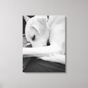 Black and White Photo of Cute Dog Resting with Dad Canvas Print