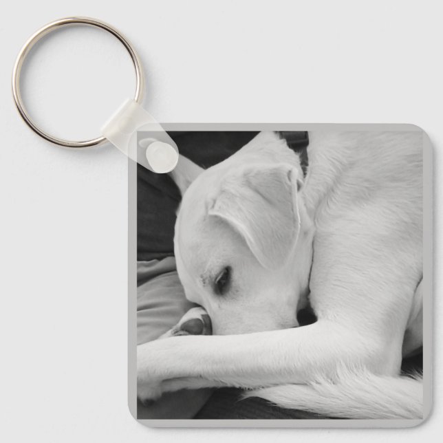 Black and White Photo of Cute Dog Resting with Dad Keychain (Front)