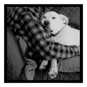 Black and White Photo of Dog Snuggling with Dad Poster