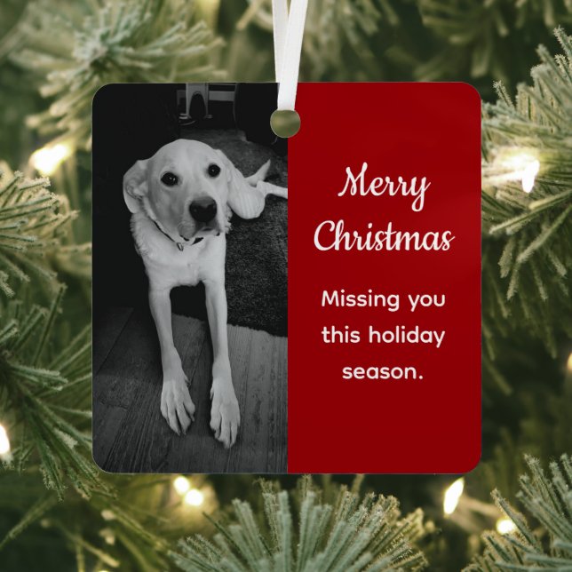 Black and White Photo of Sad Dog Missing You Red Metal Ornament (Insitu)