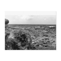 Black and White, Photograph, Standard Postcard