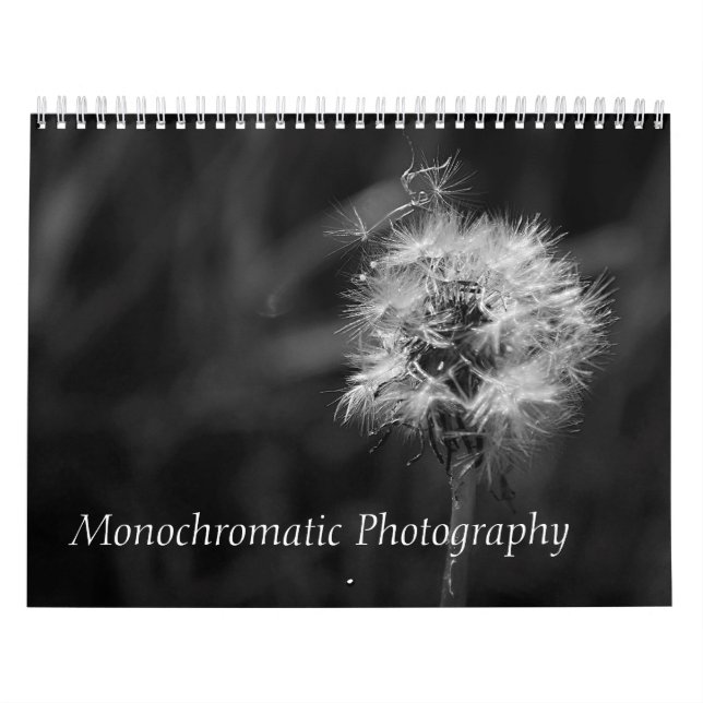Black and White Photographs Animals Landscape Bird Calendar (Cover)