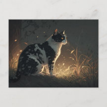 Black and White Piebald Cat in the Forest Postcard