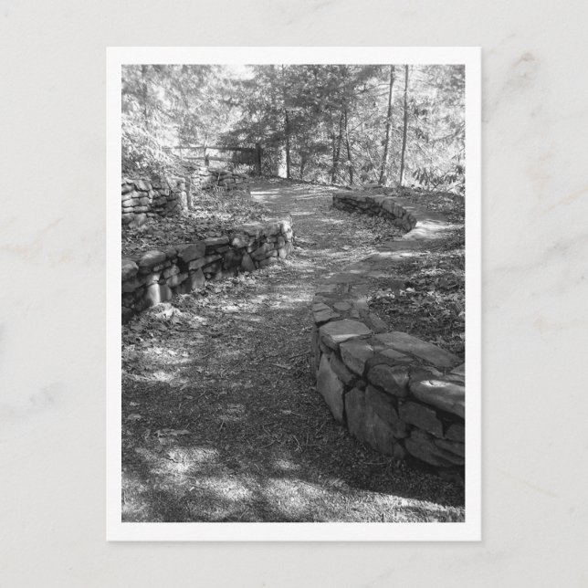 Black and White Postcard (Front)