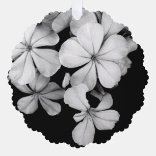 Black and White Postcard Design Ornament Card