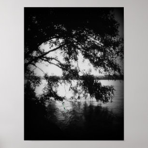 Black and White Poster