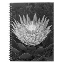 Black and white Protea notebook