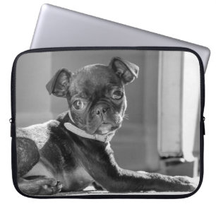 Black and White Pug Bullie Art Print Laptop Sleeve