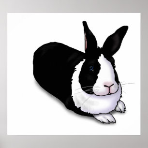 Black and White Rabbit Poster