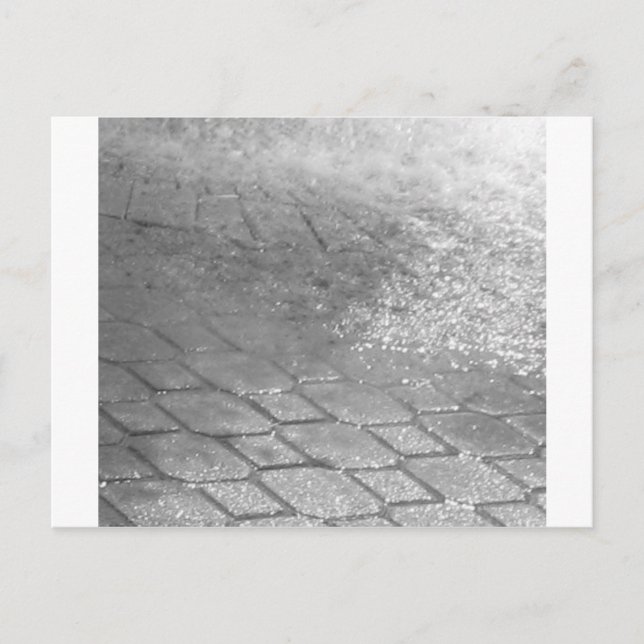 Black and White RainDrops Postcard (Front)