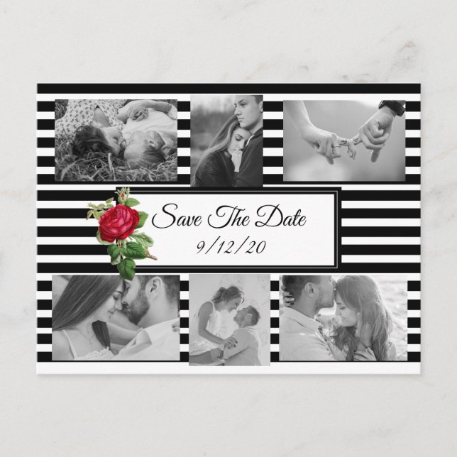 Black and White Red Rose Save the Date Postcard (Front)