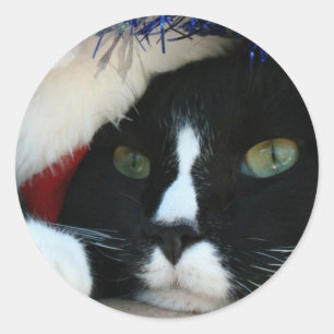 Black and White resigned cat santa hat blue tinsel Classic Round Sticker