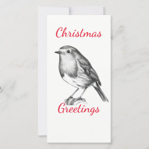 Black and white robin