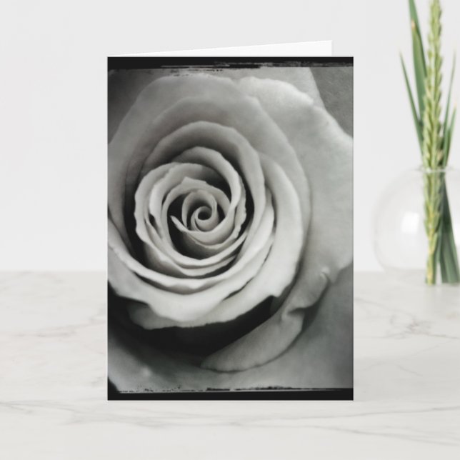 Black and White Rose Blank Greeting Card (Front)