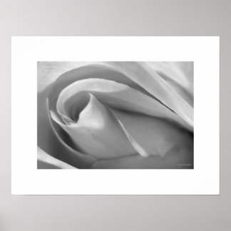 Black and White Rose Poster Poster Print