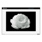 Black And White Rose