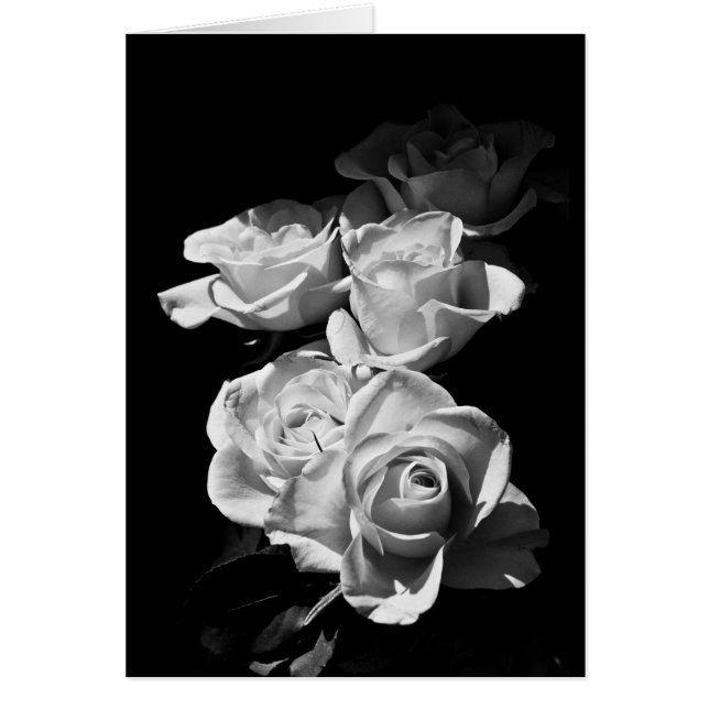 Black and white roses (Front)