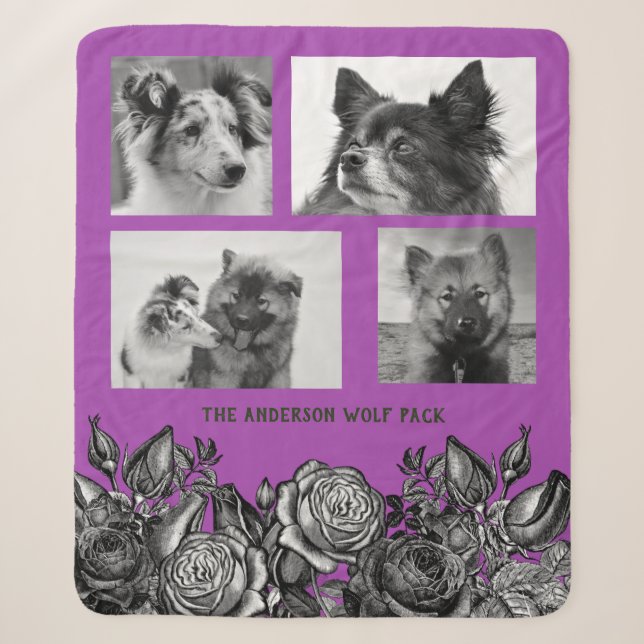 Black and White Roses Bright Purple Photo Collage Sherpa Blanket (Front)