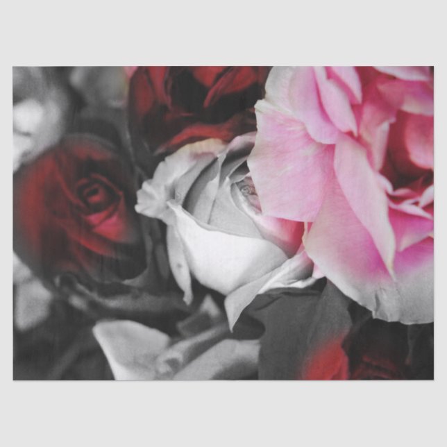 Black and White Roses Fade Tissue Paper (Front)