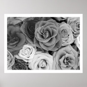 Black And White Roses Pattern Large Poster