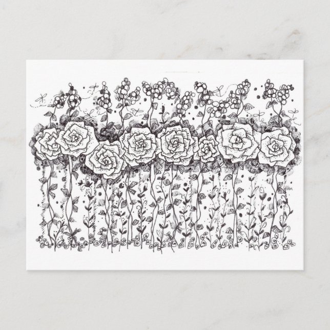 Black and White Roses Pen and Ink Drawing Postcard (Front)