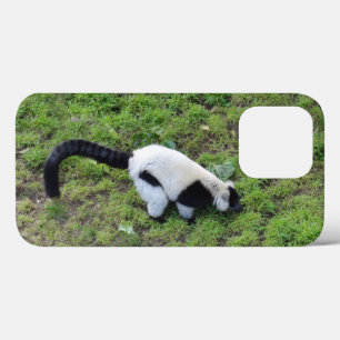 Black-and-white Ruffed Lemur #1 iPhone 13 Pro Case