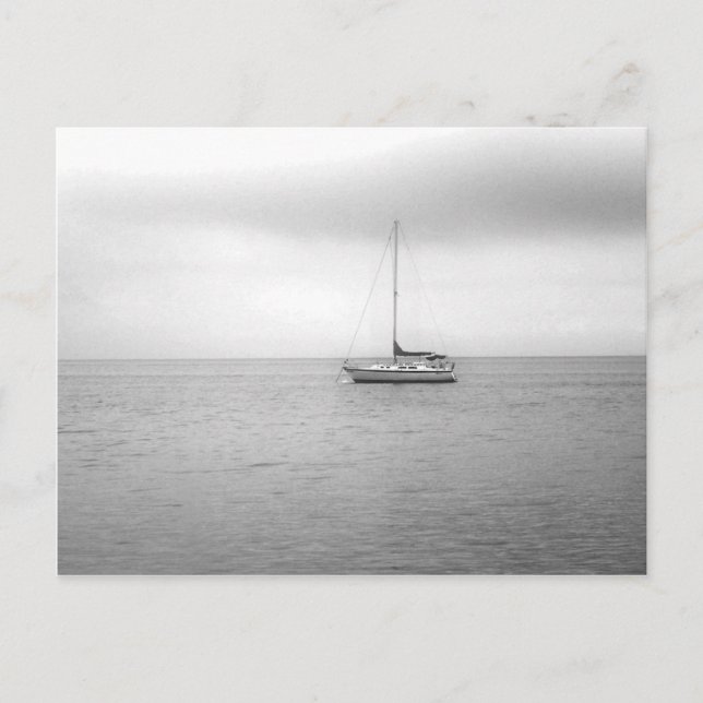 Black and White Sailboat Photo Postcard (Front)