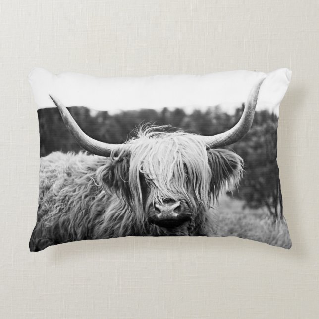 Black and White Scottish Highland Cow Accent  Pillow (Front)