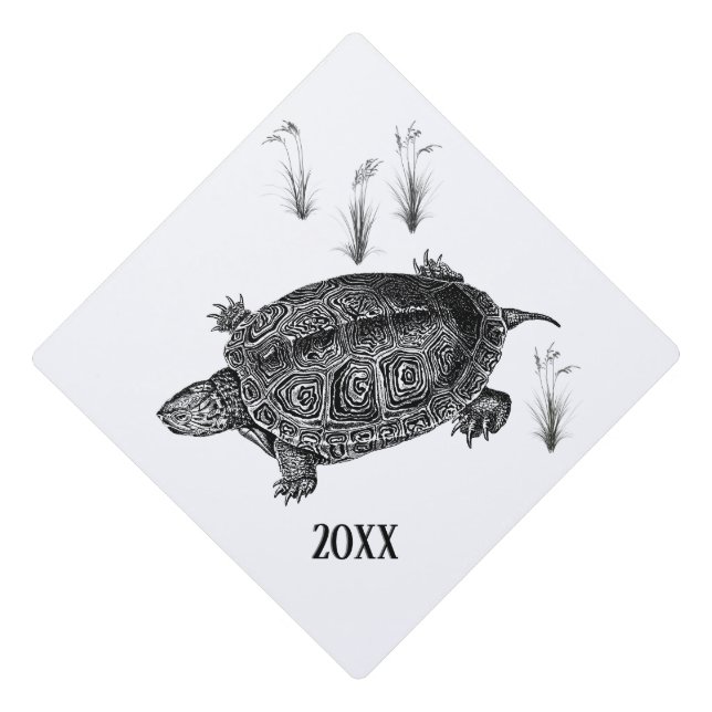 Black and White Sea Turtle Year Graduation Cap Topper (Front)