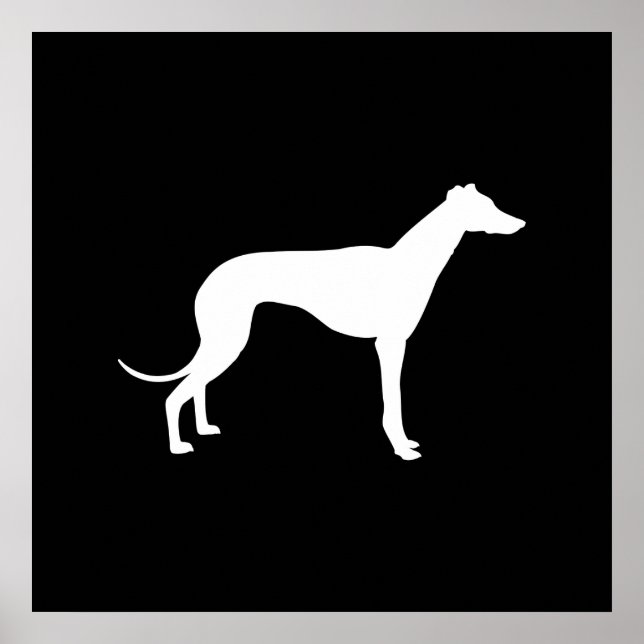 Black and White Shape of Greyhound Poster (Front)