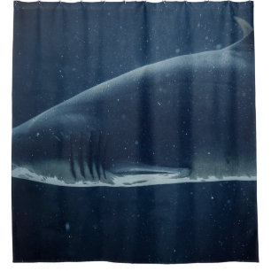 BLACK AND WHITE SHARK UNDERWATER