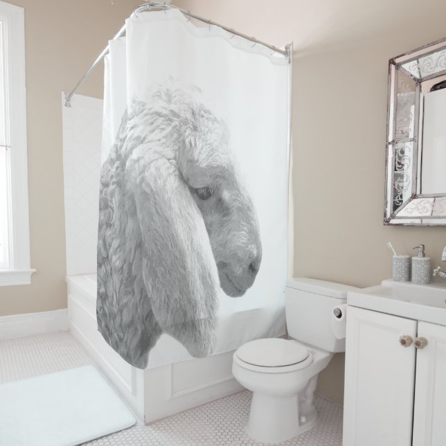 Black and White Sheep (In Situ)