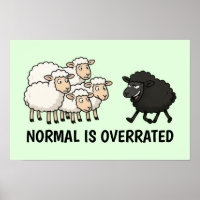 Black and White Sheep