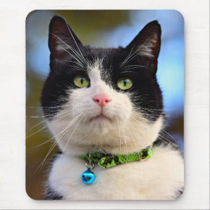 Black and White Shorthair Cat Mouse Pad