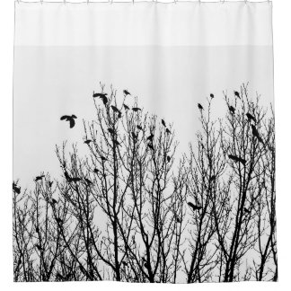 Black and White Shower Curtain, Bird, Trees Photo