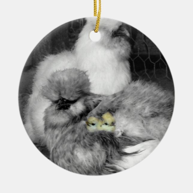 Black and White Silkie Chickens with yellow Chicks Ceramic Ornament (Front)