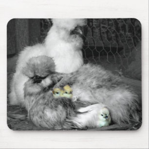 Black and White Silkie Chickens with yellow Chicks Mouse Pad