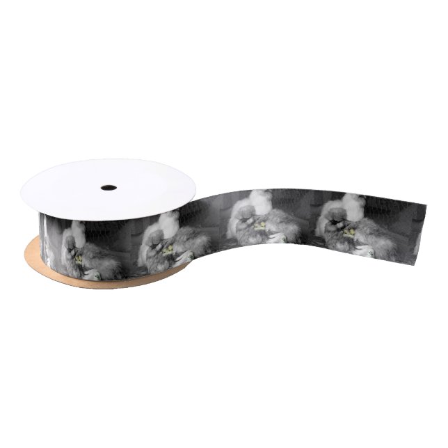 Black and White Silkie Chickens with yellow Chicks Satin Ribbon (Spool)