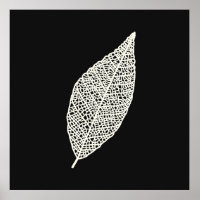 Black and White Skeleton Leaf line art 