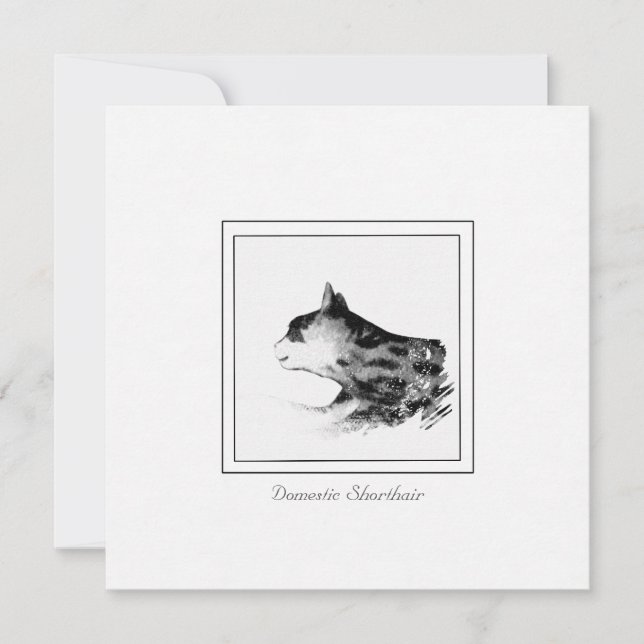 Black and White Sketch Domestic Shorthair Cat Card (Front)
