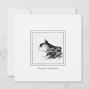 Black and White Sketch Domestic Shorthair Cat Card