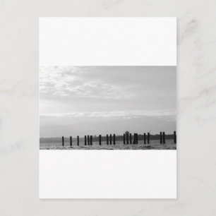 Black and White Sky Posts Postcard
