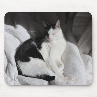 Black and White Sleeping Cat/Add Your Pet's Photo Mouse Pad