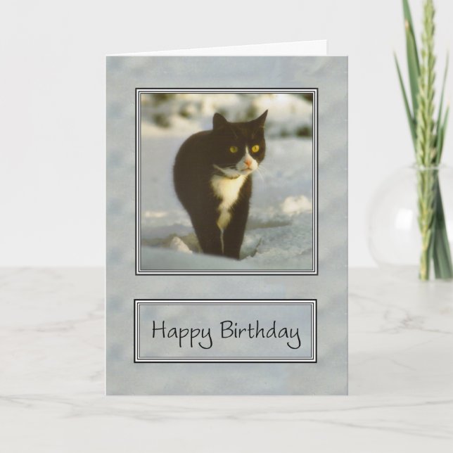 black and white snow kitten happy birthday card (Front)