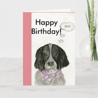 Black and white Spaniel birthday card